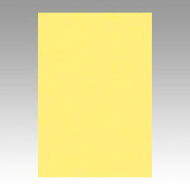 【ポイント20倍】（まとめ） 色画用紙 文運堂 ニューカラーR 黄色 8NCR-108 4954022681081 1冊【×10セット】