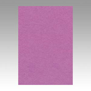 y|Cg20{zi܂Ƃ߁j Fp ^ j[J[R Ԏ 8NCR-231 4954022682316 1y×10Zbgz