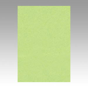 y|Cg20{zi܂Ƃ߁j Fp ^ j[J[R ᑐ 8NCR-243 4954022682439 1y×10Zbgz