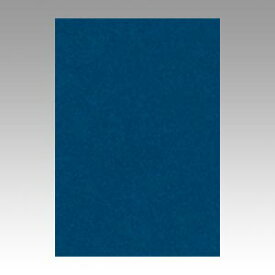 【ポイント20倍】（まとめ） 色画用紙 文運堂 ニューカラーR 藍色 8NCR-320 4954022683207 1冊【×10セット】