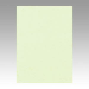 yN[|zz&ubNtCf[Ώہzi܂Ƃ߁j Fp ^ j[J[R  4NCR-133 4954022641337 1y×5Zbgz