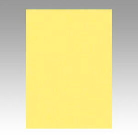 【ポイント20倍】（まとめ） 色画用紙 文運堂 ニューカラーR 黄色 4NCR-108 4954022641085 1冊【×5セット】