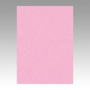 y|Cg20{zi܂Ƃ߁j Fp ^ j[J[R Ƃ 4NCR-234 4954022642341 1y×5Zbgz