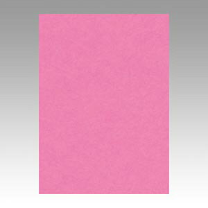 yN[|zz&ubNtCf[Ώہzi܂Ƃ߁j Fp ^ j[J[R F 4NCR-242 4954022642426 1y×5Zbgz