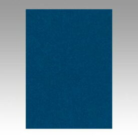 【ポイント20倍】（まとめ） 色画用紙 文運堂 ニューカラーR 藍色 4NCR-320 4954022643201 1冊【×5セット】