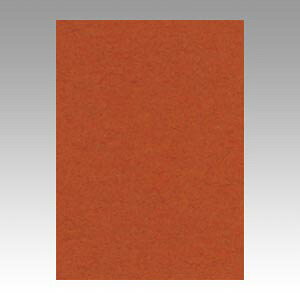 yN[|zz&ubNtCf[Ώہzi܂Ƃ߁j Fp ^ j[J[R F 10-236 4902681812360 1{y×8Zbgz