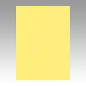 【ポイント20倍】（まとめ） 色画用紙 文運堂 ニューカラーR 黄色 10-108 4902681811080 1本【×8セット】