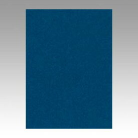 【ポイント20倍】（まとめ） 色画用紙 文運堂 ニューカラーR 藍色 10-320 4902681813206 1本【×8セット】