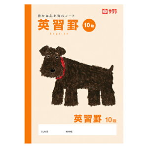 y|Cg20{z(܂Ƃ߁jpi wpi wKm[g TNNpX wK pKr 10i KiFB5dlF10iCpKr Î55gp NP95 4901881240331 1y×120Zbgz