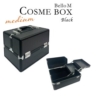 釣り 道具箱 アルミ風 プラスチック 大工 工具箱 キャビネット ツールボックス おしゃれ 大容量 持ち運び プラモデル 大型 整理 アルミケース アメリカン雑貨 鍵付き キャリー BelloM ブラック