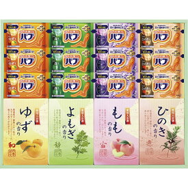 【ポイント20倍】炭酸 薬用入浴剤セット B5103097