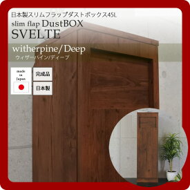 【ポイント20倍】日本製スリムフラップダストボックス45L★SVELTE(スヴェルト)：ウィザーパイン/ディープ 【代引不可】