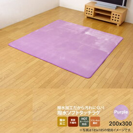 【マラソンでポイント最大47倍】パープル(purple) 200×300 ★ 水分をはじく 撥水加工カーペット 送料無料 【代引不可】