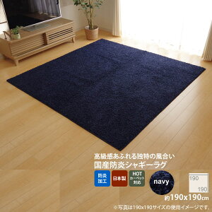 �y�|�C���g20�{�z�l�C�r�[(navy) �F190×190cm �����O �J�[�y�b�g 2�� �h�� �R�� �h�L �h�_�j �V���M�[ �^�t�g ���Y ���n �y����s�z