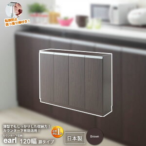 y}\Pő47{zJE^[[ Lb`[ Lrlbg bN rO bN F uEF120 ^Cv Lrlbgyearlz uE(brown) (A[o) I ys