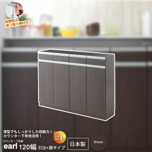 【クーポン配布中】カウンター下収納 キッチン収納 キャビネット ラック リビング ラック : ブラウン:120幅 引出+扉タイプ【earl】 ブラウン(brown) (アーバン) 可動棚 【代引不可】