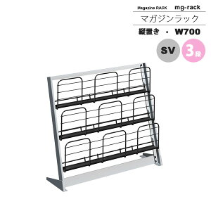 yN[|zzz}KWbN }KWX^h J^OX^h ptbgbN F W700F3icuFVo[ymg-rackz Vo[(silver) (A[o) {I [ ysz