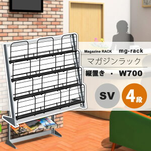 y|Cg20{z}KWbN }KWX^h J^OX^h ptbgbN F W700F4icuFVo[ymg-rackz Vo[(silver) (A[o) {I [ ysz