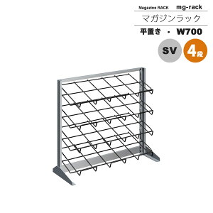 yN[|zzz}KWbN }KWX^h J^OX^h ptbgbN F W700F4iuFVo[ymg-rackz Vo[(silver) (A[o) {I [ ysz