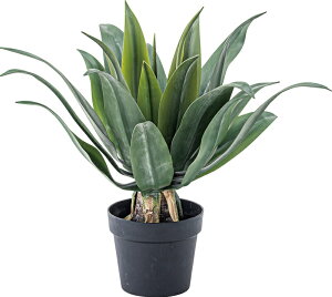 yN[|zzztFCNO[ AKx W53×D53×H53 O[ tFCNO[ ϗtA lHϗtA AKx t  CeA  O[ [t  K[f  