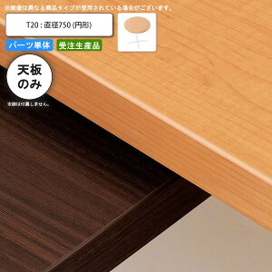 yN[|zz&ubNtCf[Ώہze[uV̂ T20 a750 ~` ƖpƋ  X { RgNg