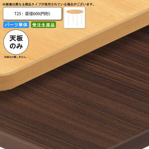 yN[|zz&ubNtCf[Ώہze[uV̂ T25 a600 ~` ƖpƋ  X { RgNg