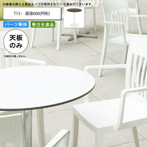 yN[|zz&ubNtCf[Ώہze[uV̂ T13 a600 ~` ƖpƋ  X { RgNg