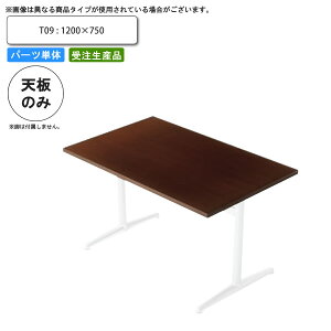 y|Cg20{ze[uV̂ T09 1200×750 ƖpƋ  X { RgNg