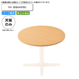 yN[|zz&ubNtCf[Ώہze[uV̂ T09 a600 ~` ƖpƋ  X { RgNg