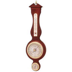 y|Cg20{zEMPEX xExECv gfBV Cیv |p BM-715