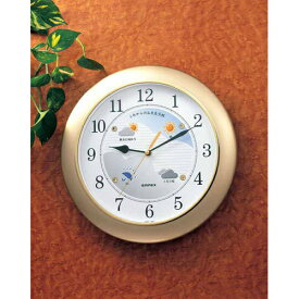 【ポイント20倍】EMPEX 掛け時計 ウォールクロック ウェザーパル BW-5048 シャンパンゴールド