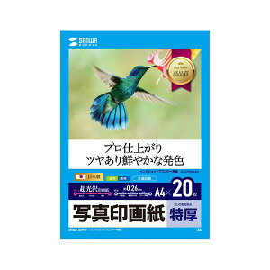 �y�|�C���g20�{�z�y5�Z�b�g�z �T�����T�v���C �C���N�W�F�b�g�ʐ^��掆�E���� JP-EP2NA4NX5