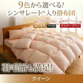 【ポイント20倍】【単品】掛け布団 クイーン ナチュラルベージュ 9色から選べる!シンサレート入り掛布団【代引不可】