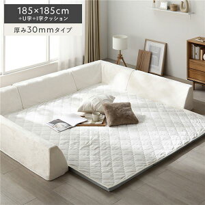 �Ɍ� ���O �w�N�b�V���� �Z�b�g ��185×185cm�{U���{I���N�b�V���� ����30mm�^�C�v �t�����l�����n �A�C�{���[ �􂦂� �J�o�[ �E�H�b�V���u�� �J�o�[�����O �������E���^�� �h���΍� �N�b�V����