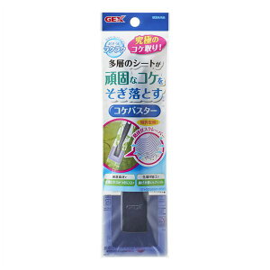 y|Cg20{zi܂Ƃ߁jRPoX^[y×5Zbgz (Ϗ܋/pi)