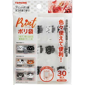 yN[|zz&X[p[SALEΏہzy10Zbgz gl vg | 12.5×30×}`10.5cm lR̂܂ 30 P-3593