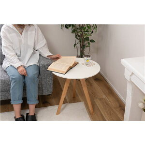 y|Cg20{zEh TChe[u 50×s50×50cm zCg VR pC rO CeAƋ gi