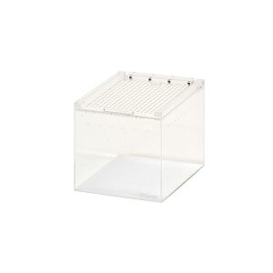 yN[|zzzv^C{bNX n[t (঒ޗpi)