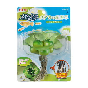 y|Cg20{zi܂Ƃ߁j_Ji _J̎Y zeCAICy×5Zbgz (Ϗ܋/pi)