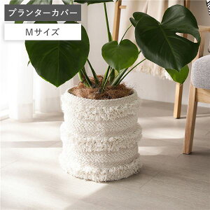 v^[Jo[ Jo[ MTCY 105cm AC{[ VRf i` Rbg 100 ȒPt ϗtAp AؐAp t[|bgp Ԋp AؔJo[ |bgJo[ r