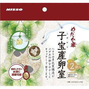 y|Cg20{zi܂Ƃ߁j߂ƎqY ~j 2y×5Zbgz (Ϗ܋/pi)