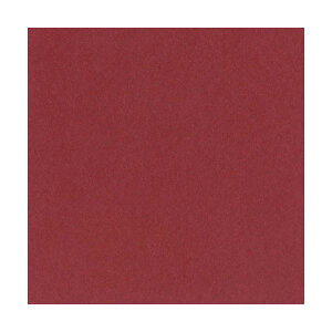 �y�|�C���g20�{�z�i�܂Ƃ߁j�����e�b�N �j���[�J���[R ���� ���� 8NCR-550 1�p�b�N(100��)�y×5�Z�b�g�z