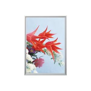 yN[|zzz(Ɩp3Zbg)Ae GRCpl/fopl ST-B4-SV B4