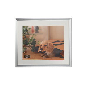 y|Cg20{zʐ^z lcؔ Vo[ F-SP-111-SV