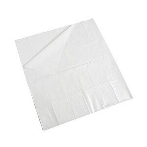 yX[p[SALEŃ|Cgő47{zJg hV[c #1021100cm×210cm 027-300305-00 1P[Xi50F25×2܁j