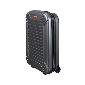 yN[|zzzLJ Lkł鈳kX[cP[X ݉8`23cm AD-S01