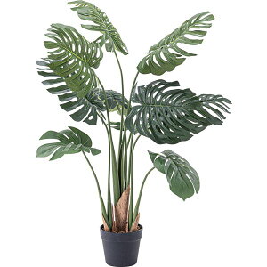 【クーポン配布中】フェイクグリーン/観葉植物 モンステラ 約W56×D56×H100cm