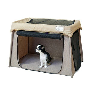 y|Cg20{zybgɂ₳\tgT[N CguE (ybgZ֘Api/PCWET[N)