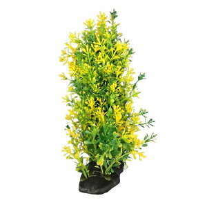 y|Cg20{zi܂Ƃ߁jeg tLVuvg FP-5y×5Zbgz (Ϗ܋/pi)