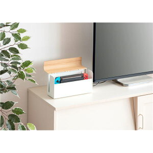 �y�|�C���g20�{�zTEER�Q�[���@�P�[�X ��28×���s��9×����14cm �i�`������ �����i�y����s�z